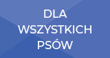 gryzaki i przysmaki dla wszystkich psów